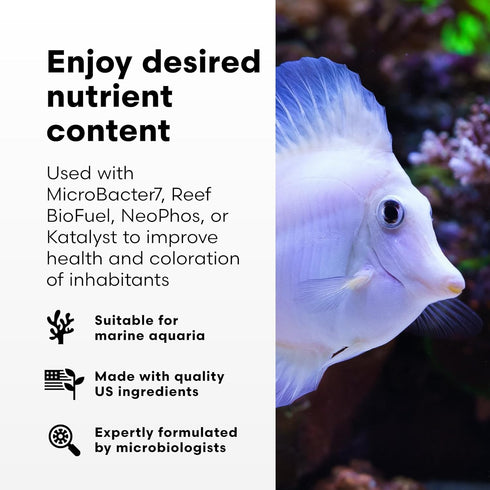 Brightwell Aquatics NeoNitro Balanced Nitrogen Supplement, Reef Nutrient Enhancer for Ultra-Low Nutrient Systems, 16.9
