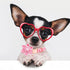 Lionheart Glory Valentine's Day Dog Collar with Flower, Pink Dog Collar with Bowtie for Small Dogs