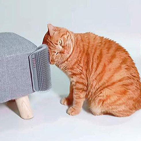 2 Pack Extended (6.1") Cat Self Groomer for Indoor Cats, Wall Corner Scratchers, Massage Combs (Grey)
