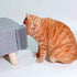 2 Pack Extended (6.1") Cat Self Groomer for Indoor Cats, Wall Corner Scratchers, Massage Combs (Grey)