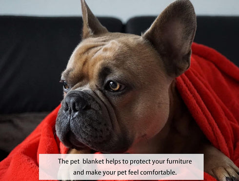Soft Puppy Flannel Fleece Blanket for Pet Dog Cat, Cozy Lightweight Plush Microfiber, Light Yellow, 27 x 39 inch