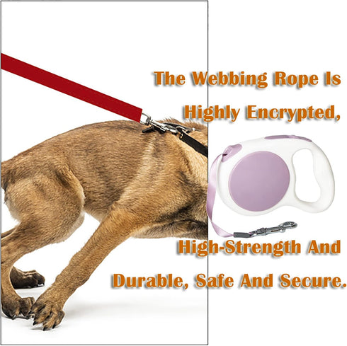 Lavender Purple Retractable Dog Leash 10 ft for Small Medium Dogs and Cats, One Button Control by LFCXHTY