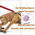 Lavender Purple Retractable Dog Leash 10 ft for Small Medium Dogs and Cats, One Button Control by LFCXHTY