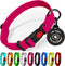 Adjustable Dog Collar with Safety Lock Buckle - Made in USA, Honeycomb Waterproof Heavy Duty Collar for Medium Large