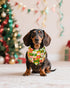 100 Pack Set PET SHOW Christmas Dog Bandanas Bulk for Small Medium Dogs No Stitch Scarves Xmas Triangle Bibs Kerchief