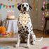 Adjustable Birthday Dog Bandanas - Double-Sided Triangle Scarves for Pets