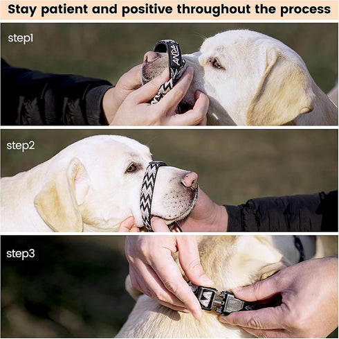 ANDA Gentle Leader Ultra-Light No-Pull Dog Headcollar, Adjustable and Breathable for Daily Use (Medium Size)