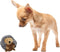 SPOT Butterballs Forest Animals Dog Toy-Soft, Stuffed, Squeaky, Plush Fabric Toy for Mini
