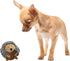 SPOT Butterballs Forest Animals Dog Toy-Soft, Stuffed, Squeaky, Plush Fabric Toy for Mini
