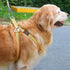 Tresbro 30FT Reflective Dog Tie Out Cable for Dogs Up to 250 Pounds, Lightweight Steel Wire Leash for Outdoor Use