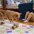 4 8 Andiker Cat Toys for Indoor Cats, Big Cat Springs & Small Springs Cat Interactive Toy for Cats Swatting, Biting