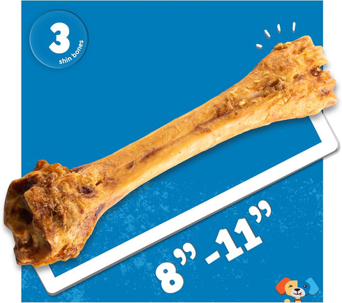 Jack&Pup Roasted Meaty Beef Shin Bone Dog Treats - 8-11” Long Lasting All Natural Gourmet Chews (3 Pack)