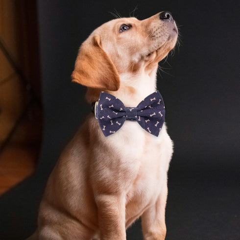 Adjustable Dog Collar with Bow Tie for Small Medium Large Dogs, Comfortable, Soft, Durable Puppy Collar with Cute Bow