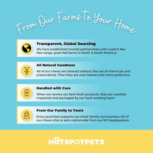 Hotspot Pets Pig Ears for Dogs (20 Pack) - All-Natural, Highly Digestible Chews, Rawhide Alternative