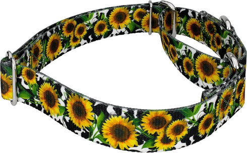 Country Country (1 Inch, Brook Petz - Dairy Fields Martingale Dog Collar and Leash - and Western Collection Featuring