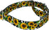 Country Country (1 Inch, Brook Petz - Dairy Fields Martingale Dog Collar and Leash - and Western Collection Featuring