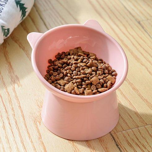 Raised Cat Bowl, Elevated Feeding Bowls with Stand, Anti Vomit Tilted Cat Food Bowl for Pets