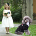 Gentleman Dog Shirt Pet Clothes, Bow Tie Costume, Cat Wedding Formal Tuxedo Suit, Prince Wedding Outfit (L, Black)