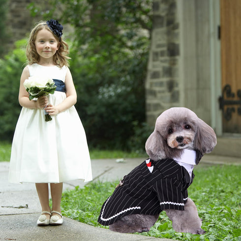 Gentleman Dog Shirt for Small Dogs, Pet Suit Bow Tie Costume, Cat Wedding Shirt Formal Tuxedo with Black Tie (XL, Black)