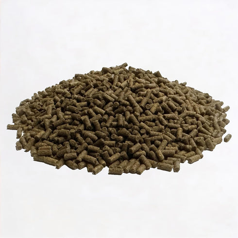 1.5oz Wpc-Co. Freshwater Shrimp Food | Cherry & Ghost Shrimp Food | Aquarium Shrimp Food Pellets |