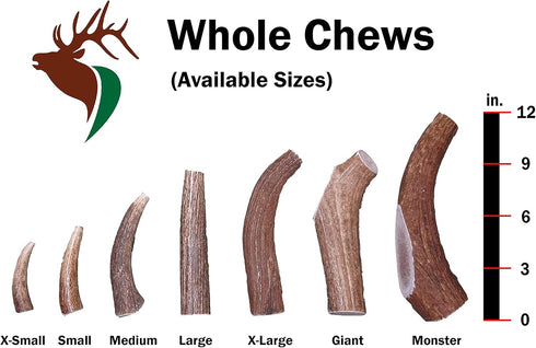 Premium Grade Elk Antler for Dogs, Medium Whole Single Pack, 1 Piece, Sourced in The USA