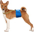 Paw Inspired Dog Diaper Suspenders | Adjustable Stretchy Suspenders for Disposable & Washable Diapers, Fits Small to