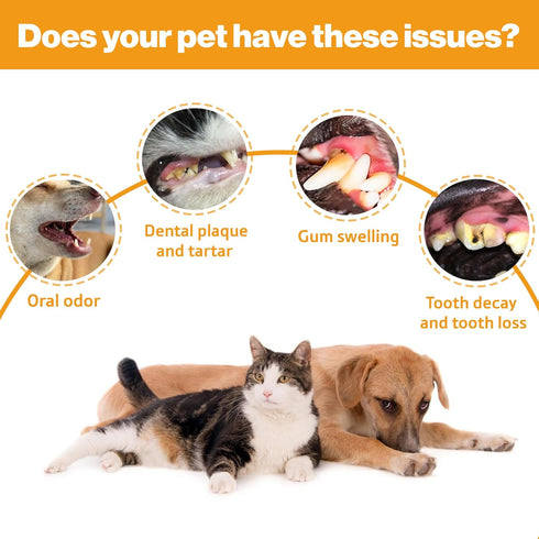 Pet Dental Cleaning Wipes for Dogs & Cats, Disposable Finger Toothbrush for Plaque & Tartar Removal, Oral Care, 50 Count