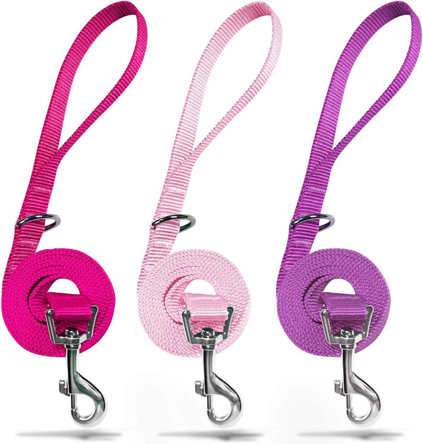 azuza 3 Pack Nylon Dog Leashes, Strong & Durable Basic Style Leash with Easy to Use Collar Hook for Puppy Small Dogs,