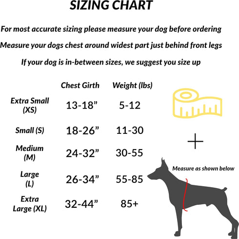 ShawnCo Essential Dog Harness, No-Pull Pet Vest with 3 Leash Clips for Easy Walking and Training