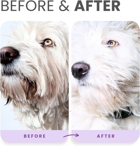 B5 16oz+Brush Lillian Ruff PRO Formula Ultra Brightening Dog Shampoo - Professional Whitening & Long-Lasting Odor