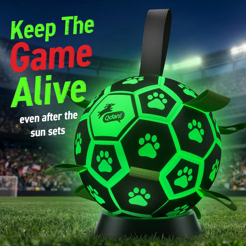 (8 Inch) QDAN Glow in The Dark Dog Toys Soccer Ball with Straps - Light Up Dog Balls for Large Dogs, Interactive Dog