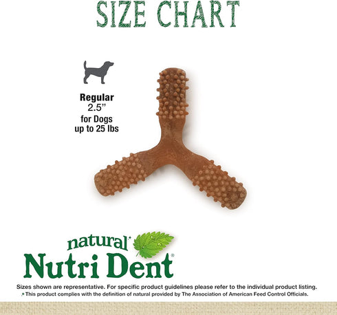 Nylabone Nutri Dent Dog Dental Chews, Filet Mignon Flavor, Small, 1 Count - Natural Teeth Cleaning & Breath Freshener