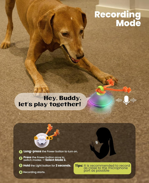 Xeuch Interactive Dog Toys, Automatic Moving and Rolling LED Light Up Dogs Ball with Rope, Motion-Activated Wicked Ball