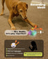 Xeuch Interactive Dog Toys, Automatic Moving and Rolling LED Light Up Dogs Ball with Rope, Motion-Activated Wicked Ball