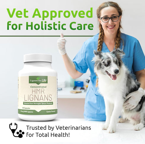 20mg 90 Lignans For Life HMR Lignans - Capsules - Vitamin for Healthy Pet | Natural Multivitamin | Wellness Supplement