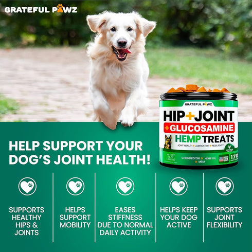 (2 Pack) Hemp Hip and Joint Supplement for Dogs, Glucosamine, 340 Dog Joint Pain Relief Treats, Mobility Support