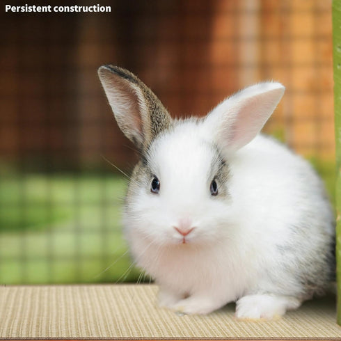 YOIYINI 2Pcs Mat,16 12 Inch Rabbit Scratch x Sisal Rabbit Scratching Pad,Rabbits Scratching Mats for Cages,Claws
