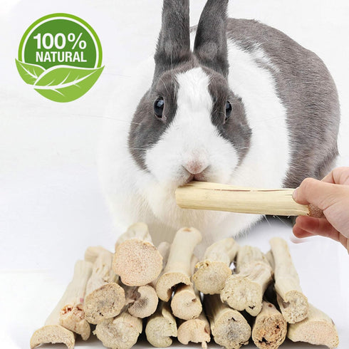 500g Chinchilla BWOGUE Pet Snacks Sweet Bamboo Chew Toy for Squirrel Rabbits Guinea Pigs Hamster