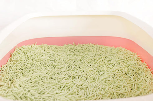 Tofu Cat Litter, Green Tea, 5.5 Lbs, Flushable Clumping, Ultra Absorbent, Low Tracking