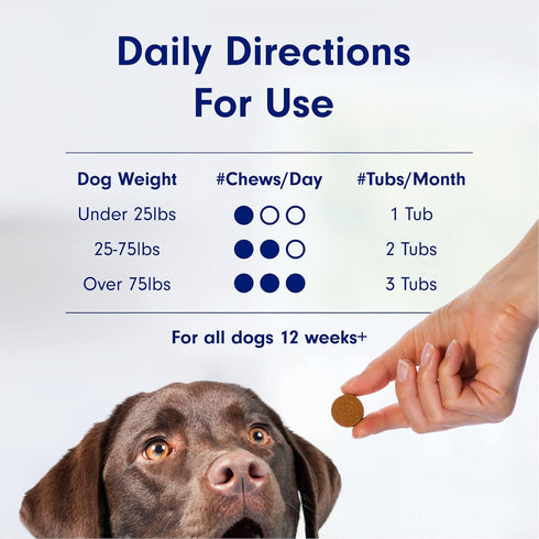 PetLab Co. Allergy & Immune Probiotics for Dogs - 30 Soft Chews to Support Seasonal Allergies, Gut & Digestive Health