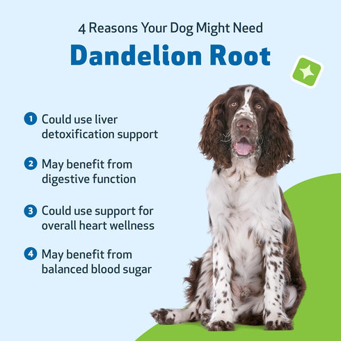 Pet Wellbeing Dandelion Root for Dogs - Certified Organic Herbal Supplement for Liver, Heart Health, 2 oz