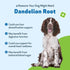 Pet Wellbeing Dandelion Root for Dogs - Certified Organic Herbal Supplement for Liver, Heart Health, 2 oz