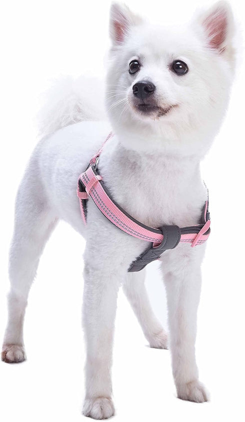 Blueberry Pet Soft & Comfy 3M Reflective Step-in Dog Harness, Baby Pink, Small, Chest Girth 15.5" - 19.5", Adjustable