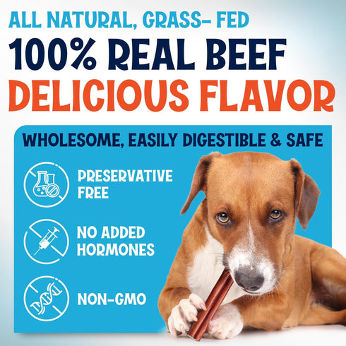 (12 Inch, 10 Pack), 9 100% Odor-Free Thin Bully Sticks Ounce Bag, Fully Digestible Beef Pizzle Chews, Grass-Fed