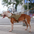 EXCELLENT ELITE SPANKER Tactical Military Dog Harness, Adjustable No-Pull Training Vest with Handle (Gry-S)