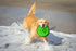 Hyper Pet Flippy Flopper 9" Flying Disc - Soft Dog Toy, Floats in Water, Pack of 5 (Colors May Vary)