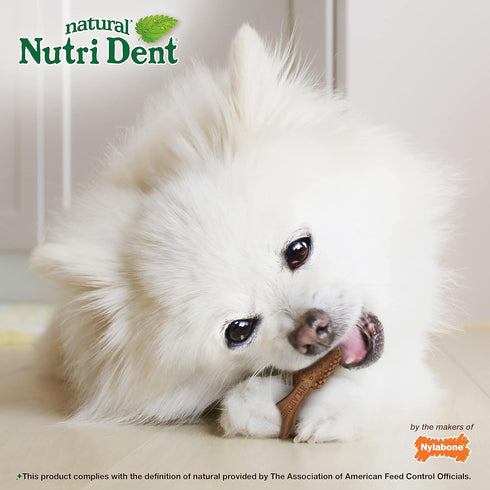 Nylabone Nutri Dent Dog Dental Chews, Filet Mignon Flavor, Mini, 32 Count