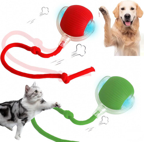 2 PCS Interactive Cat Toy Rolling Ball Chewie Viral Dog Ball, Smart