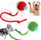 2 PCS Interactive Cat Toy Rolling Ball Chewie Viral Dog Ball, Smart
