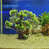 11.41 10.23 2.75 Inches, BESPORTBLE Bonsai Tree for Aquarium, Resin Fish Tank Landscape Decoration, Simulated Green